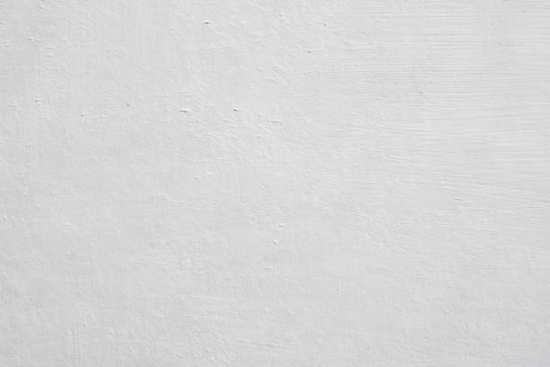 Mold Odor Removal Services in Bardstown, KY