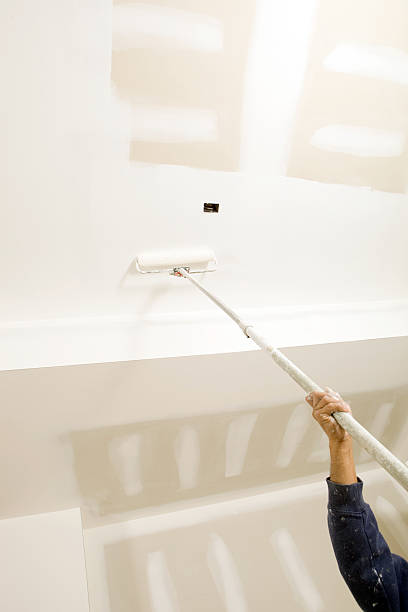 Best Forensic Mold Investigation  in Bardstown, KY