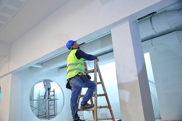 Best Mold Documentation for Insurance Claims  in Bardstown, KY
